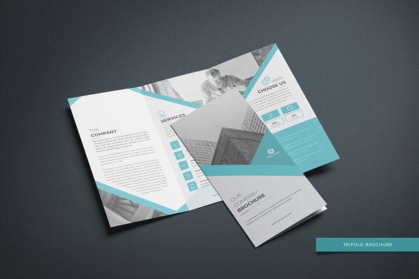 Download Trifold Brochure
