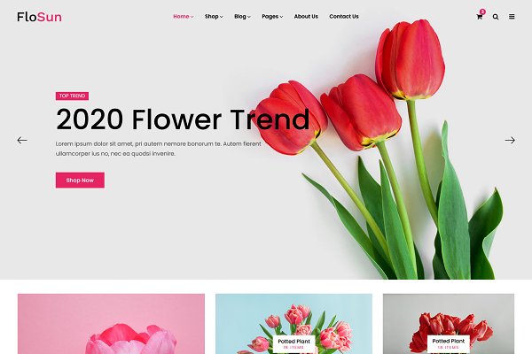 Download FloSun - Flower Shop HTML5 Template