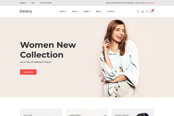 Download Destry - eCommerce HTML Template
