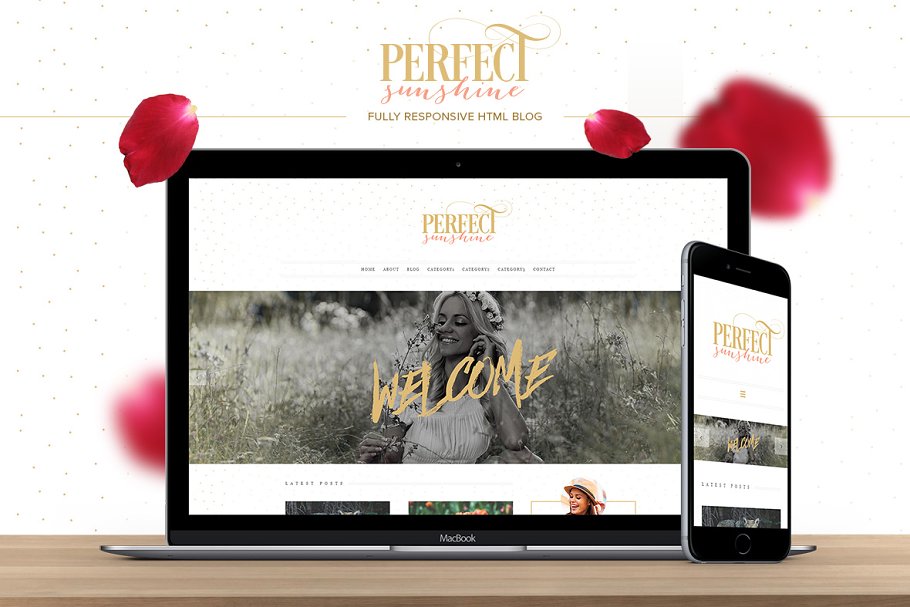 Download Perfect Sunshine - HTML Blog Theme