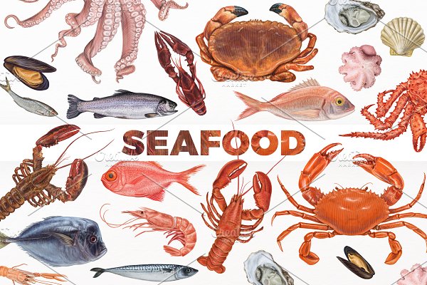 Download Yummy seafood illustrations