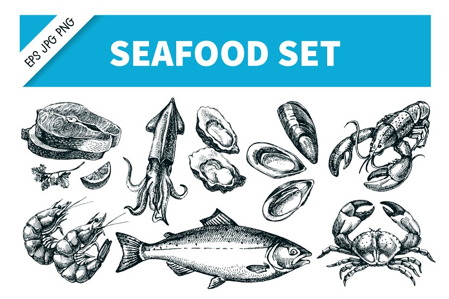 Download Hand Drawn Seafood Sketch Vector Set