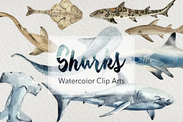 Download Sharks - Watercolor Clip Arts