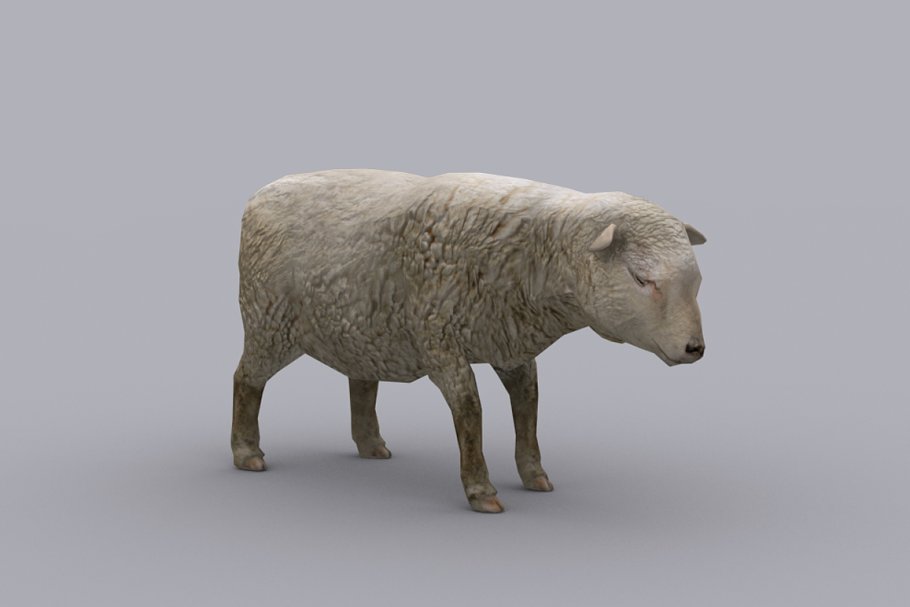 Download SHEEP fbx only