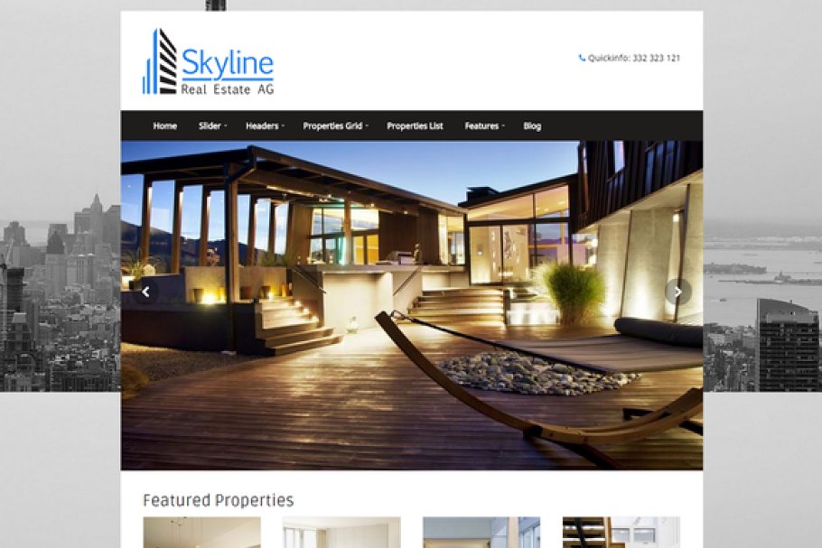 Download Skyline - a Real Estate Theme