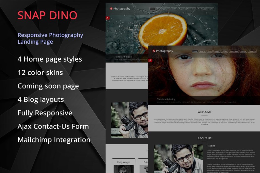 Download Snap Dino - Photography Landing Page