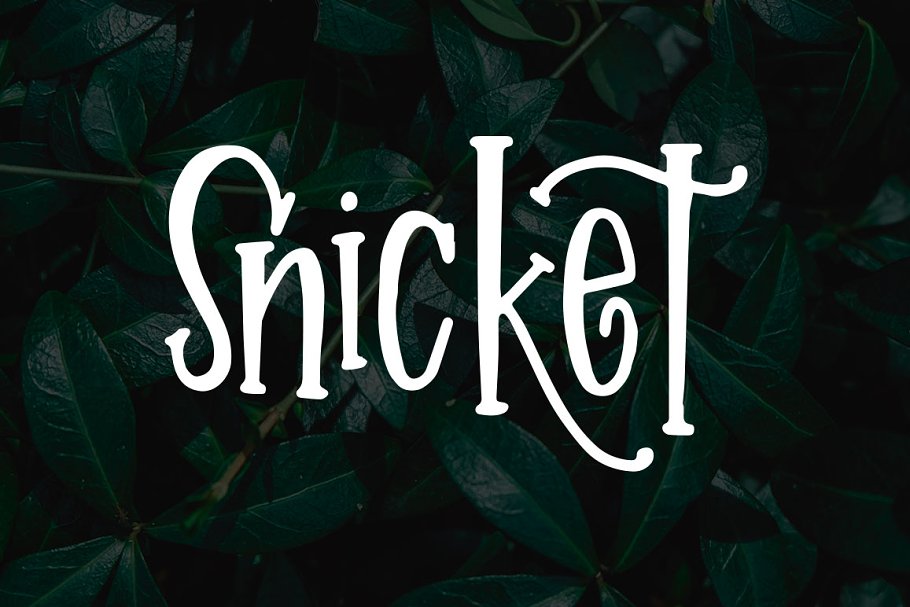 Download Snicket