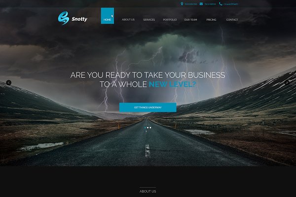 Download Snotty - One Page Website Template