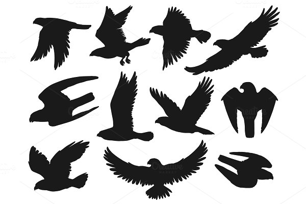 Download Eagles and hawks black silhouettes