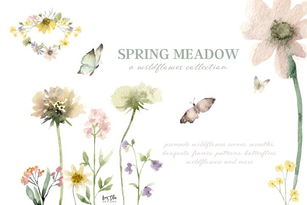 Download Spring Meadow Wildflower Collection
