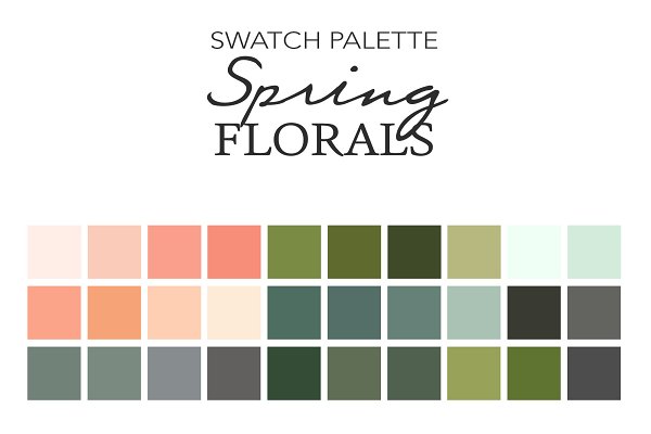 Download Procreate Swatches Palette Colors