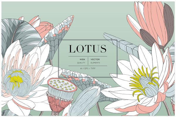 Download Lotus Vector Pattern & More!