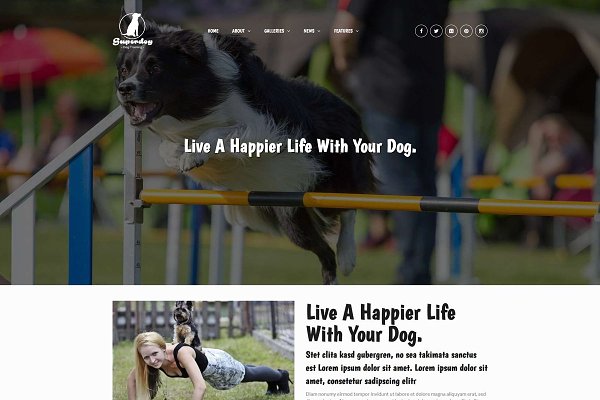 Download Superdog - Dog Training WP Theme