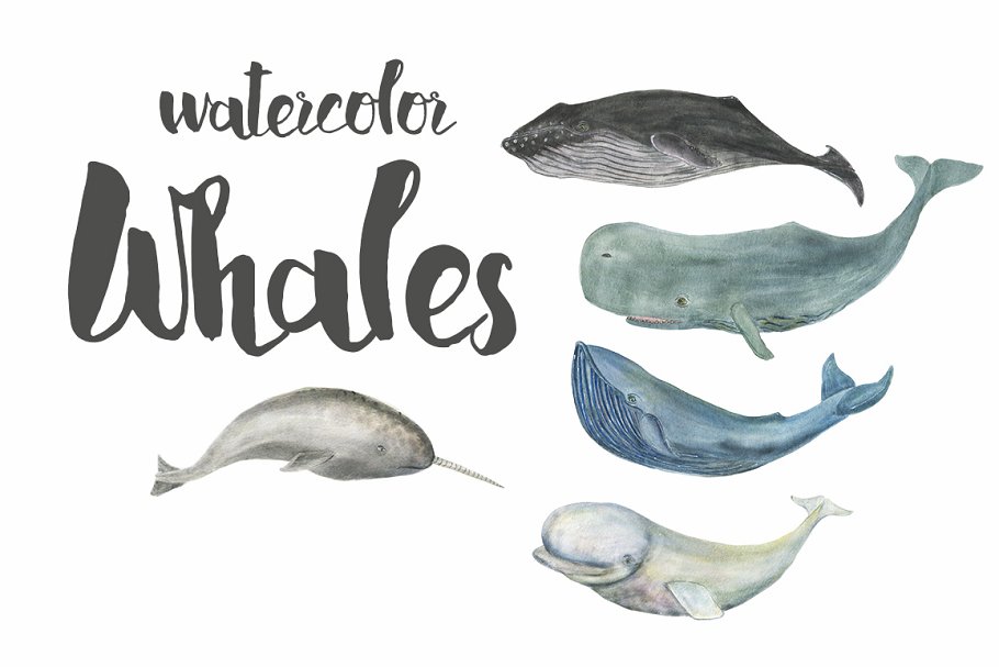 Download Watercolor whales