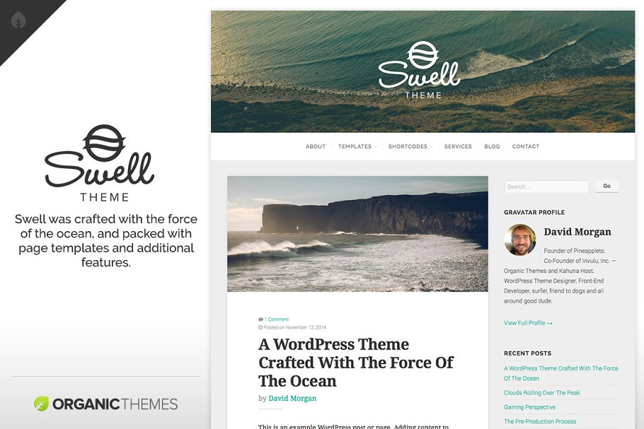 Download Swell Theme