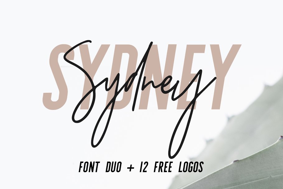 Download Sydney | Font Duo + 12 Free Logos
