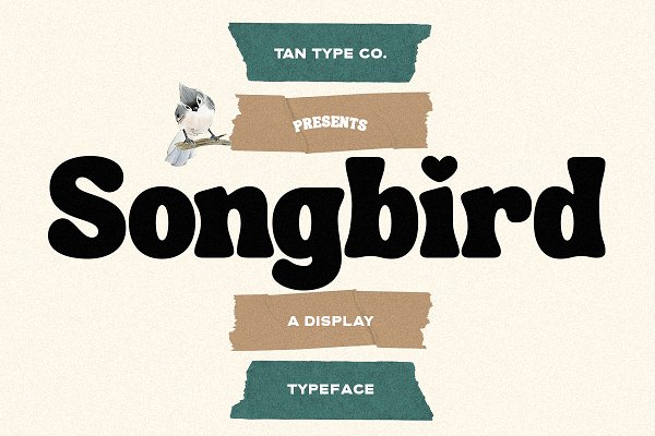 Download TAN - SONGBIRD