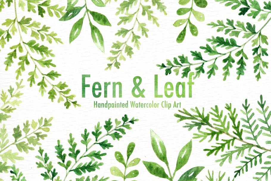 Download Fern & Leaf Watercolor clipart
