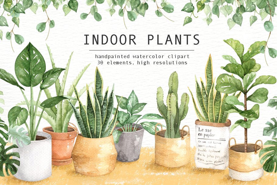 Download Indoor Plants Watercolor Clipart