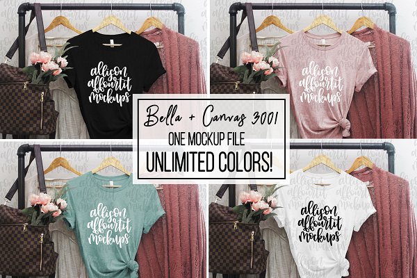 Download All Colors! Bella+Canvas 3001 Mockup