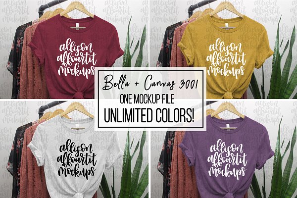 Download Unlimited Colors Bella+Canvas 3001