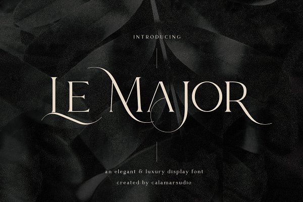 Download Le Major | Display Serif Font