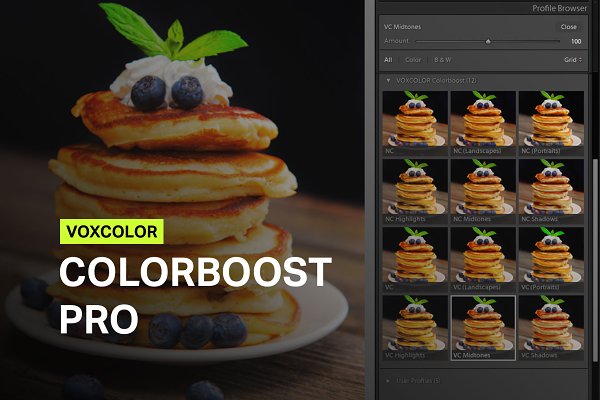 Download Colorboost Pro Lightroom Profiles
