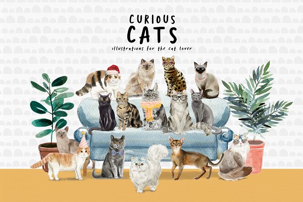 Download Curious Cats - Cat illustrations