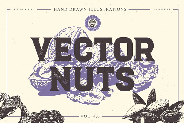 Download VECTOR NUTS HAND DRAWN BUNDLE 4.0