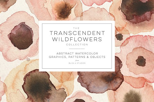 Download Transcendent Wildflowers Collection