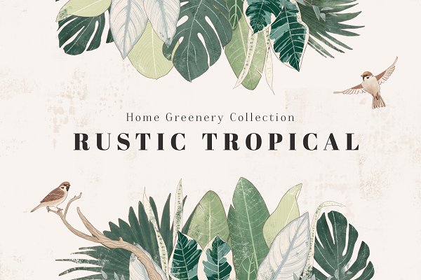 Download Rustic Tropical Leaves Collection