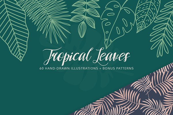 Download Tropical Leaves & Patterns
