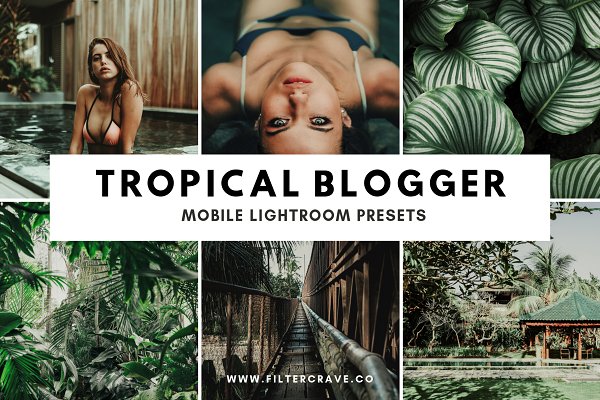 Download Tropical Lightroom Presets Instagram