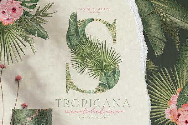 Download Tropical Jungle Palm Modern Vintage