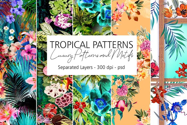 Download Tropical Patterns