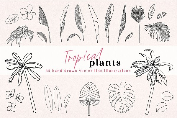 Download Tropical Botanical Illustrations