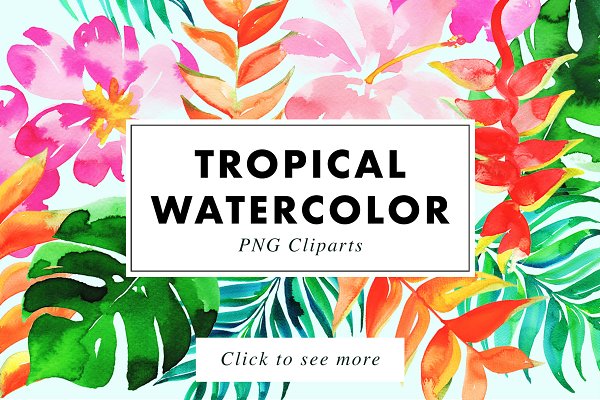 Download 22 Tropical Watercolor Illustrations