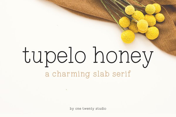 Download Tupelo Honey | A Charming Slab Serif
