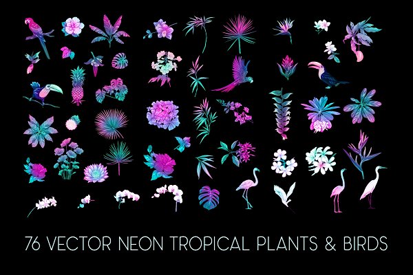 Download 76 Neon Tropical Plans and Birds