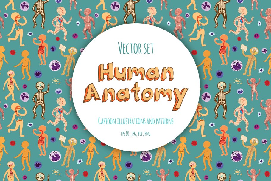 Download Human Anatomy for kids