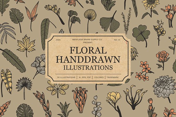 Download Floral Handdrawn Illustrations