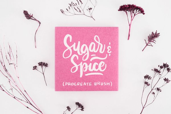 Download Sugar & Spice Procreate Brush