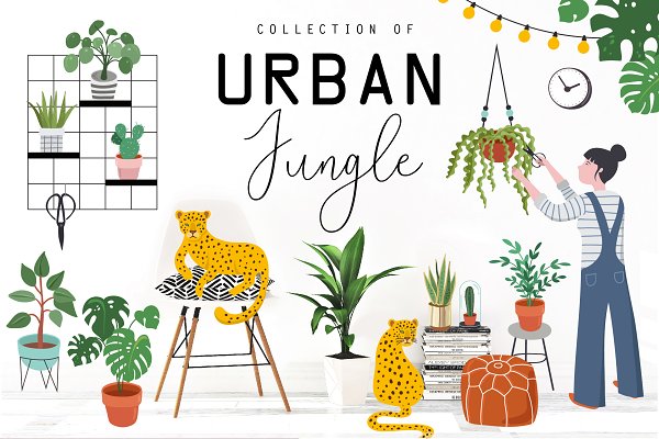 Download Urban Jungle collection