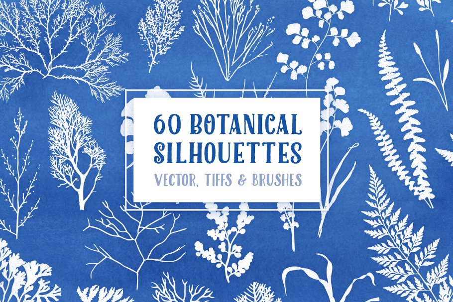 Download 60 Botanical Vectors & Brush Pack