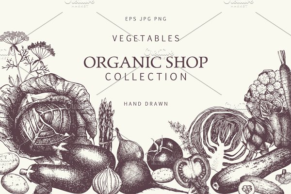 Download Hand Drawn Vegetables Collection