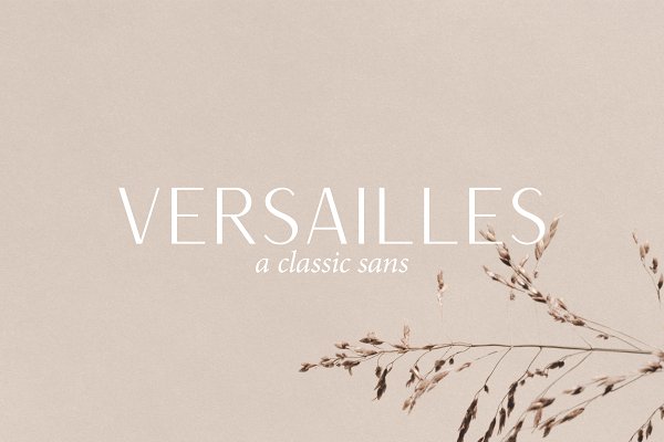 Download Versailles | A Classic Sans