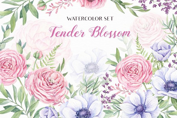 Download SALE! Tender Blossom Watercolor