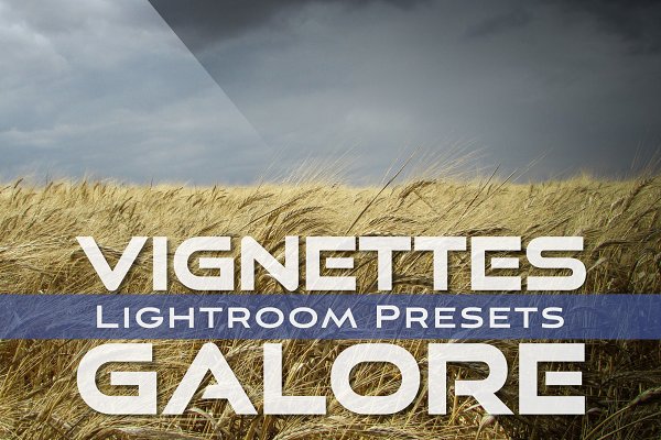 Download Vignettes Galore Lightroom Presets
