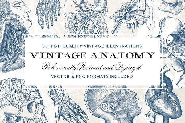 Download 76 Vintage Anatomy Illustrations