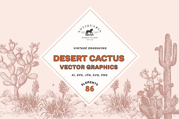 Download Vintage Cactus Vector Graphics